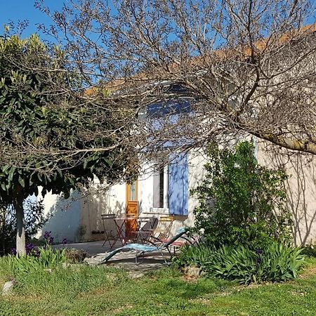 Petite Maison Refaite A Neuf Dans Mas Du 19Eme Siecle Arlés Exterior foto